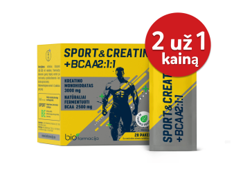 SPORT&CREATINE + BCAA2:1:1, N28
